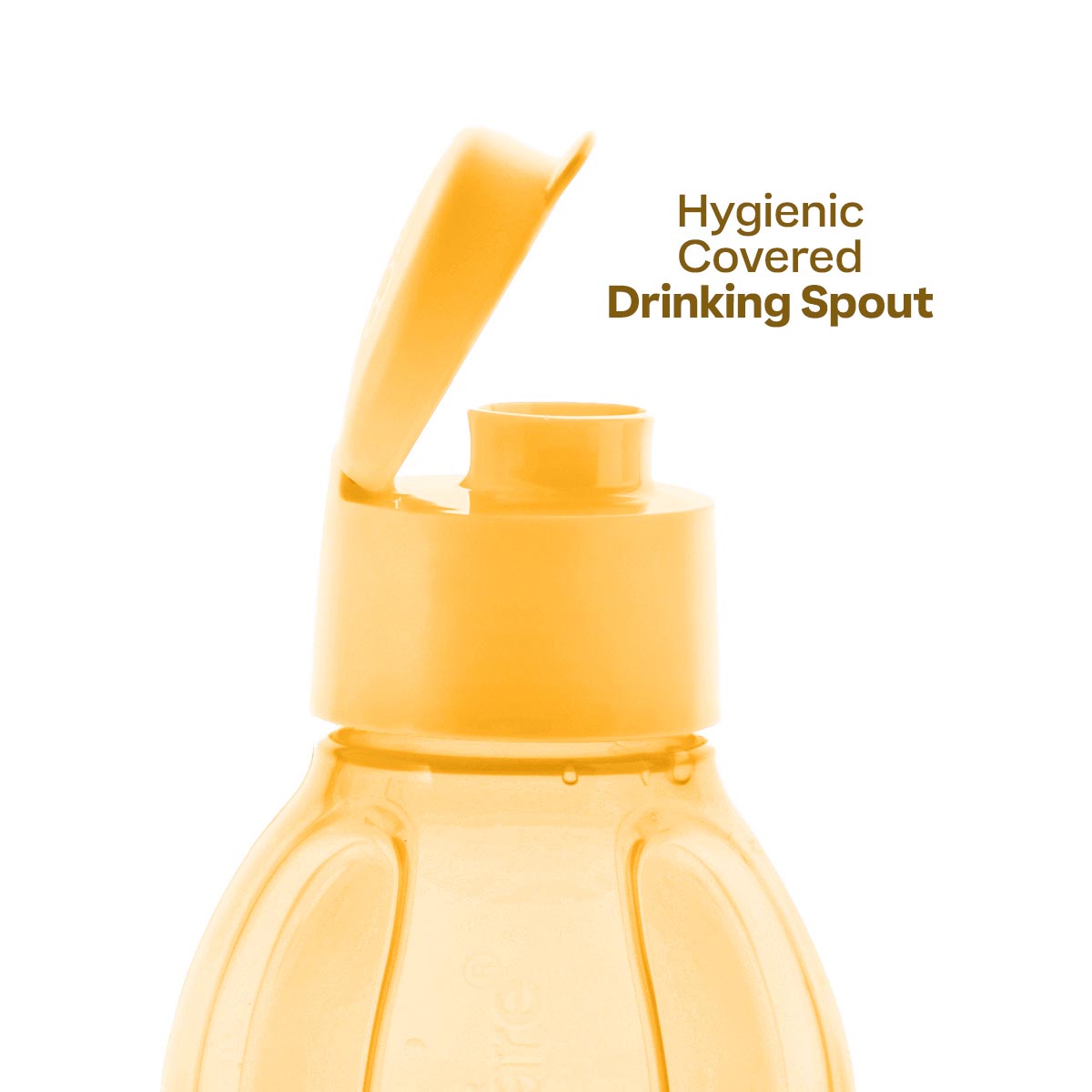 Eco+ Bottle | Large